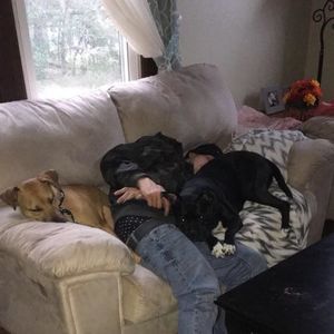 Meet your Posher, Derek